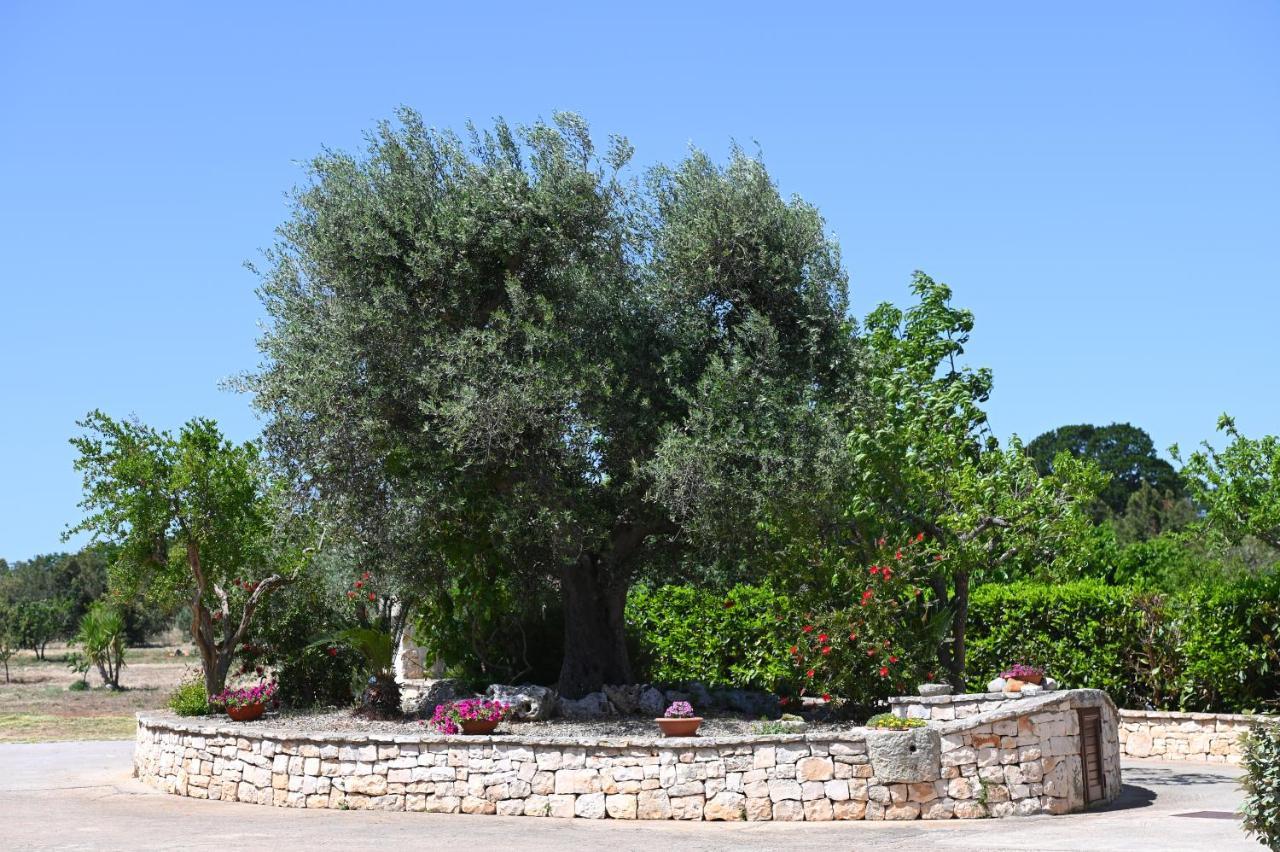 Masseria Peppeturro Cisternino Buitenkant foto
